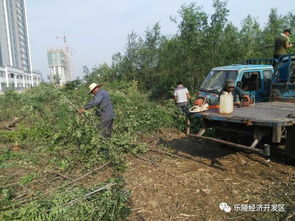 战高温 开发区项目建设热情似火