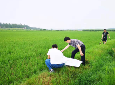 湖北广水:关注高标准农田土地整治建设情况